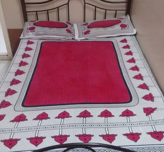 Hotel Vishal Lodging, Karad 5
